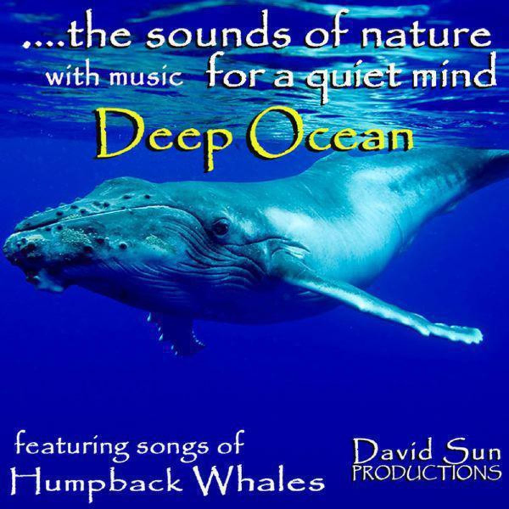 Whale Song. Песня the Deep Ocean. Song of the Whales переводиться. Deep Ocean Gusi.