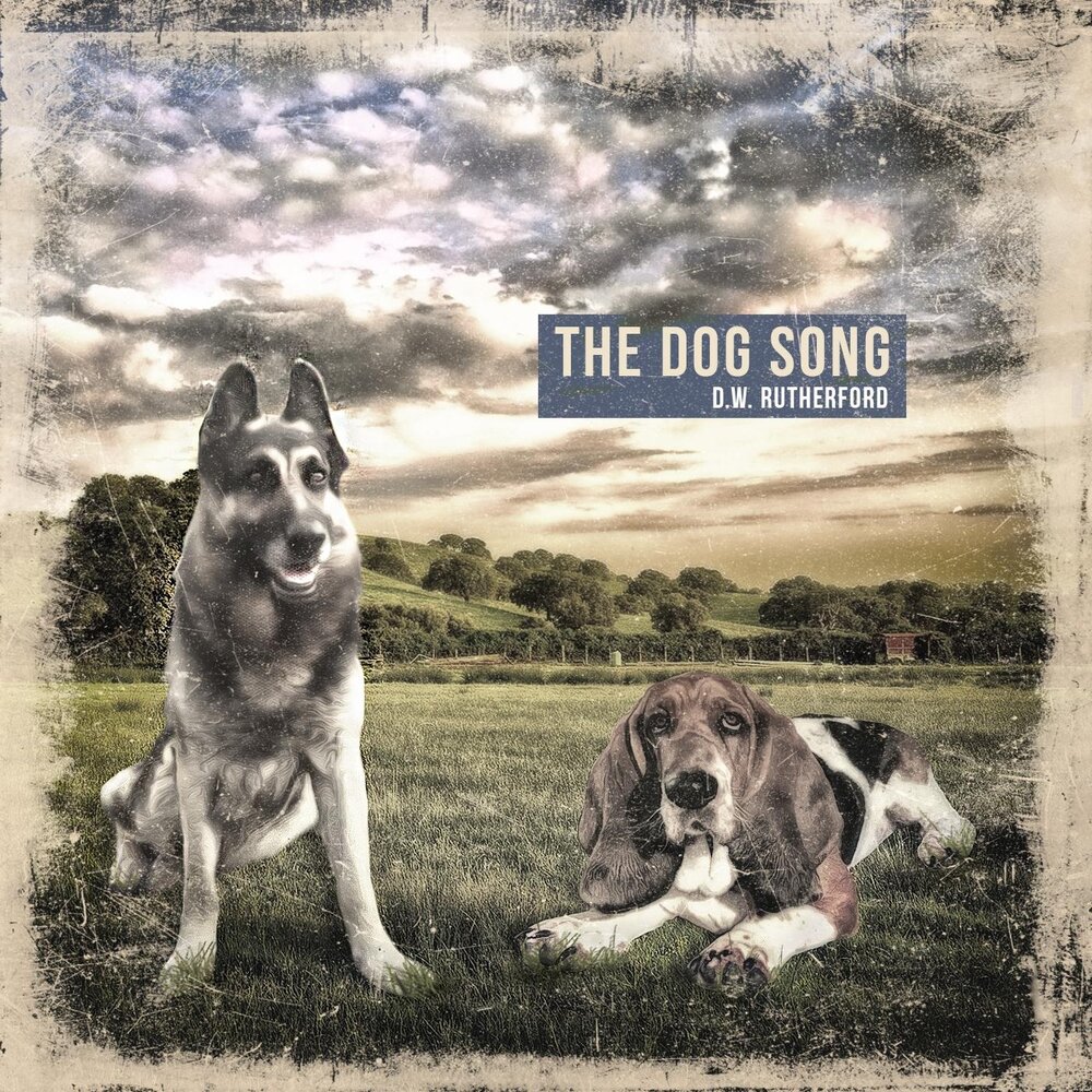 Черная собака песня. Песня Dogs. Песня о собаке. Немецкая овчарка песня. Песня ......... Дог.