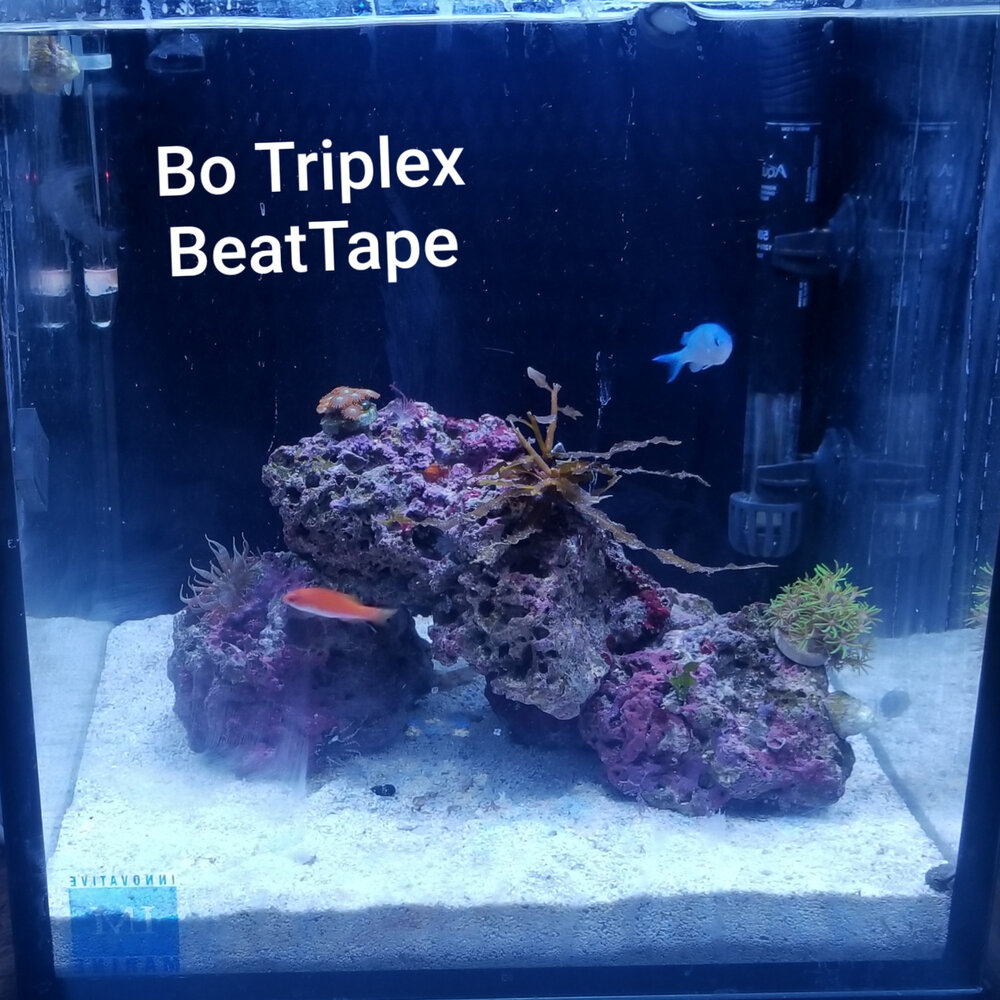 Триплекс слушать. Триплекс слушать. 1. Триплекс слушать. Триплекс слушать.