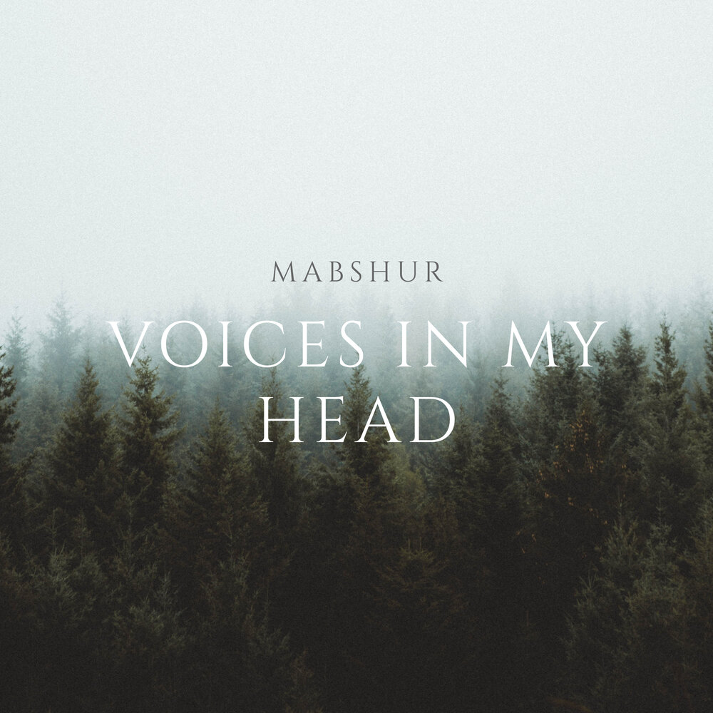 Voices in my