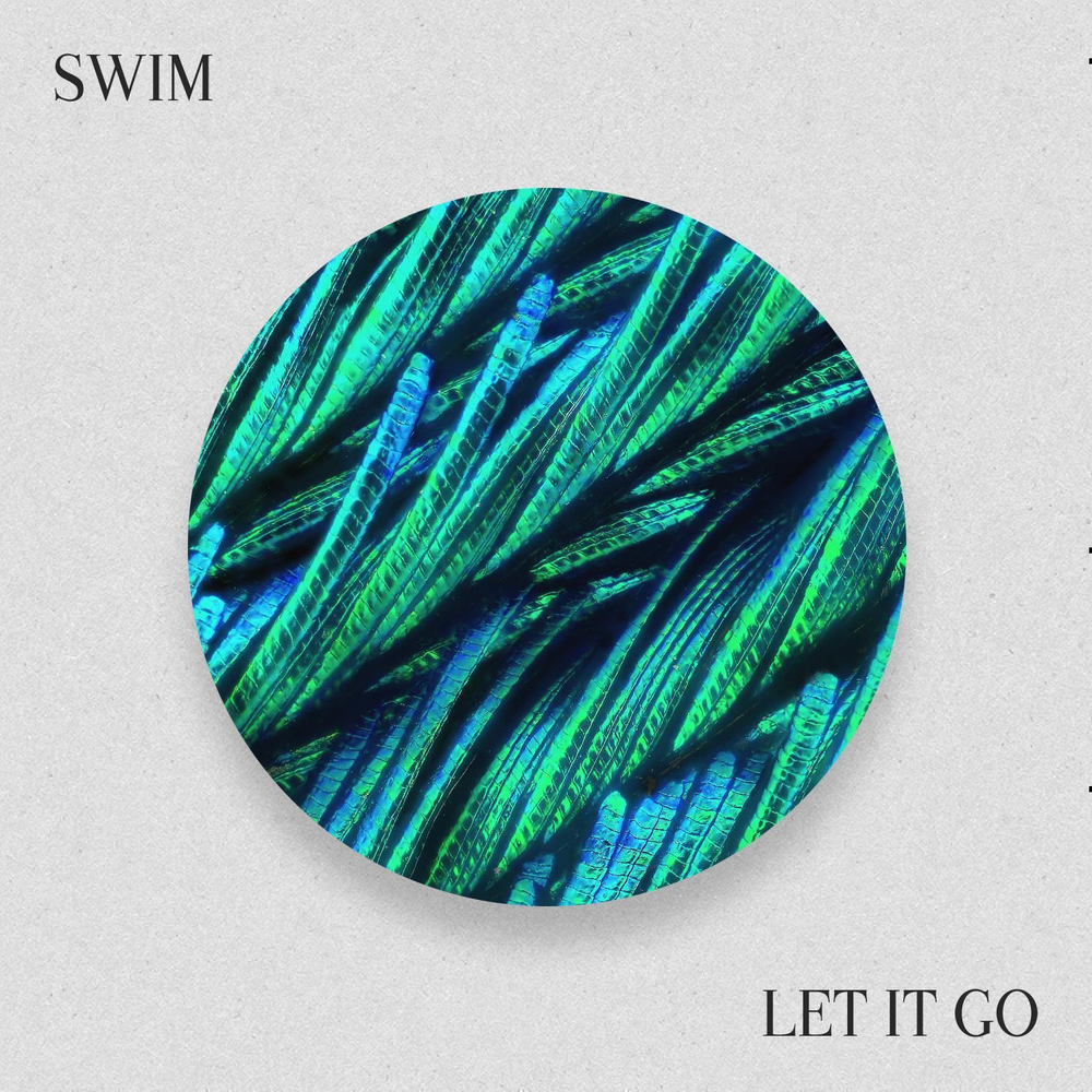 Swum let it go. Let me Swim Let me go. Altrice Stem Caribou's Swim Remixed.