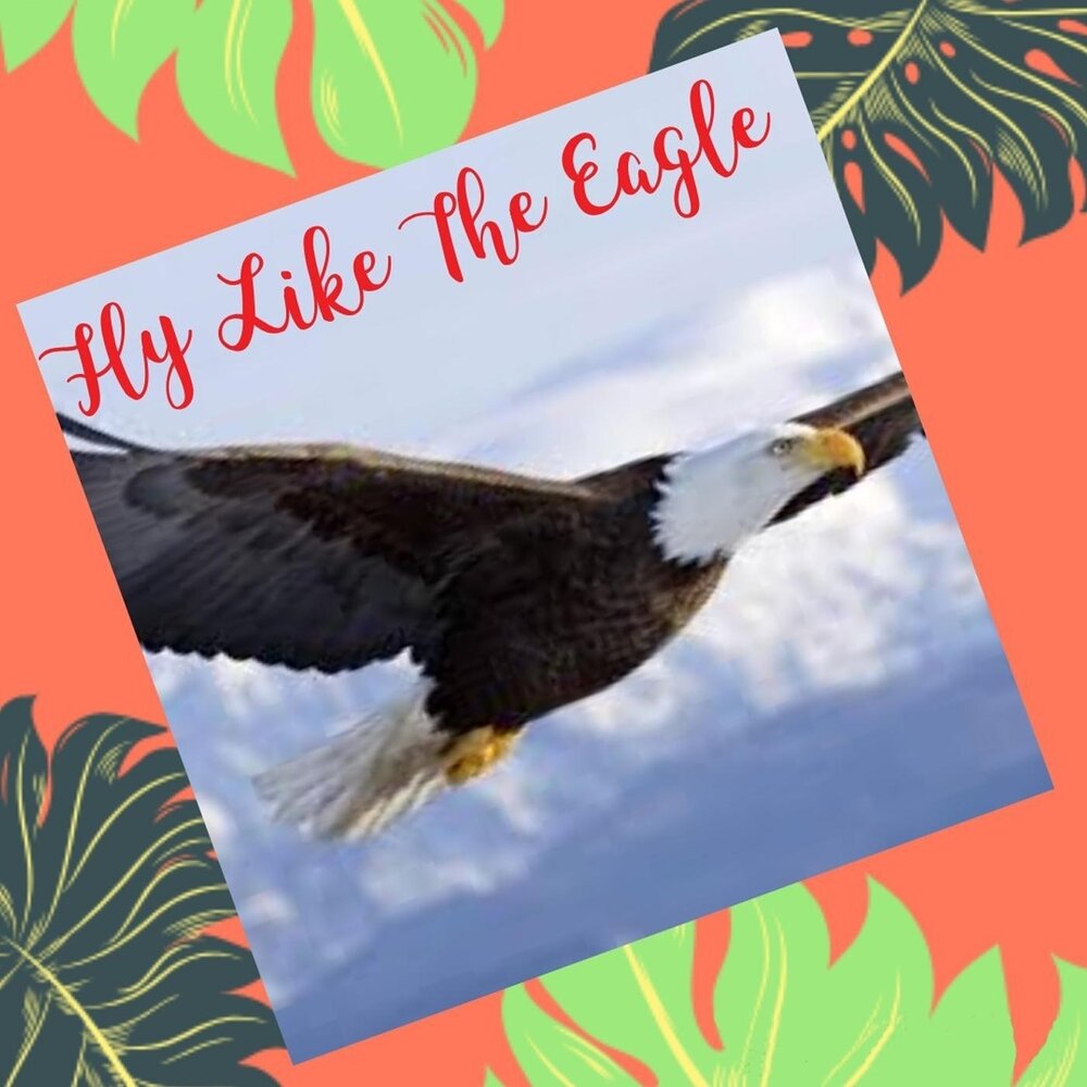 Fly like an eagle