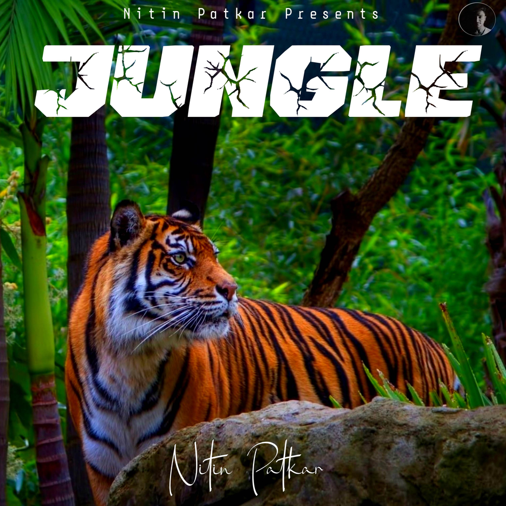 Jungle remix