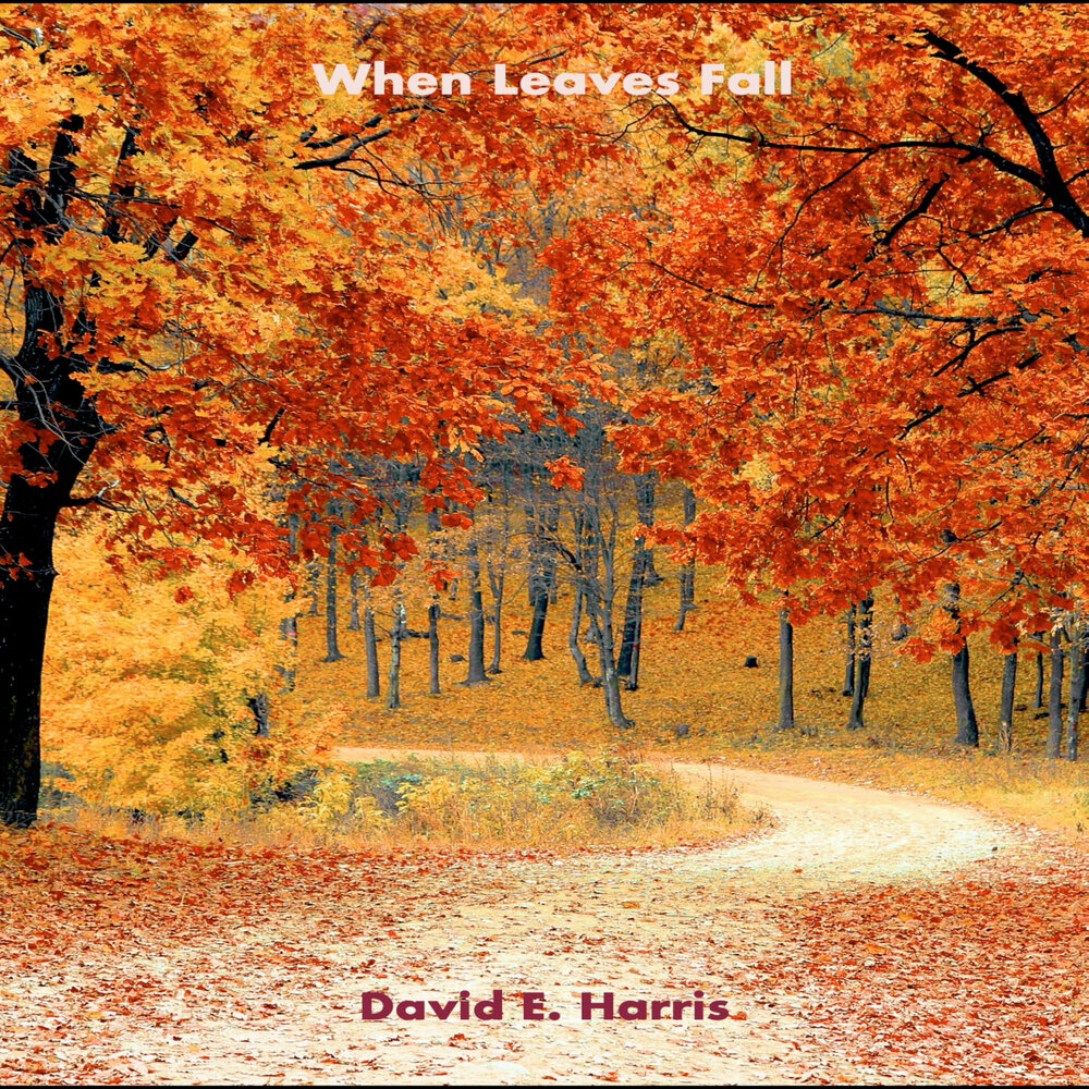 David fall. David fall