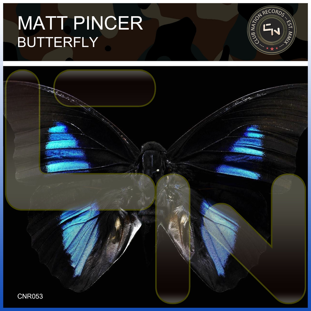 Песни бабочка ночь. Обложка альбома Butterfly. Butterfly песня. Бабочка музыкальная. Butterfly слушать.