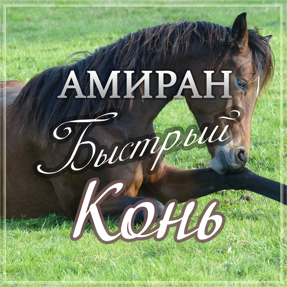 Песня коню быстро. Амиран быстрый конь. Советские песни про коней. Адыгэш. Собака резвый конь.