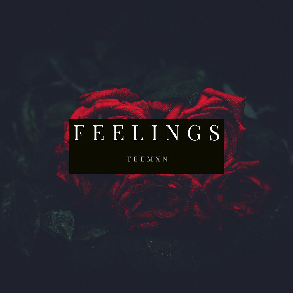 Feelings lyrics. Diviners feelings. Diviners Azertion feelings. Djinotan feelings. Mark Music feelings.