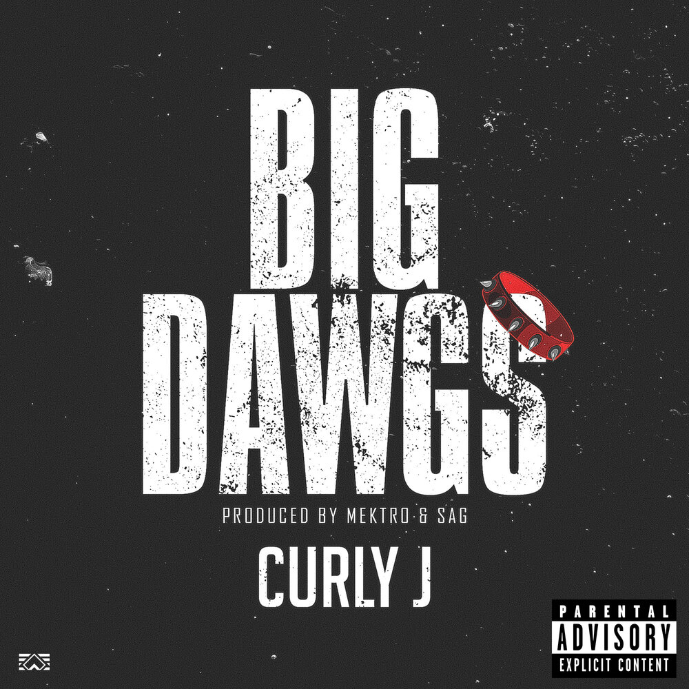 Big dawg. Dawg. Big dawg. Big meech кто это. Big dawgs music.