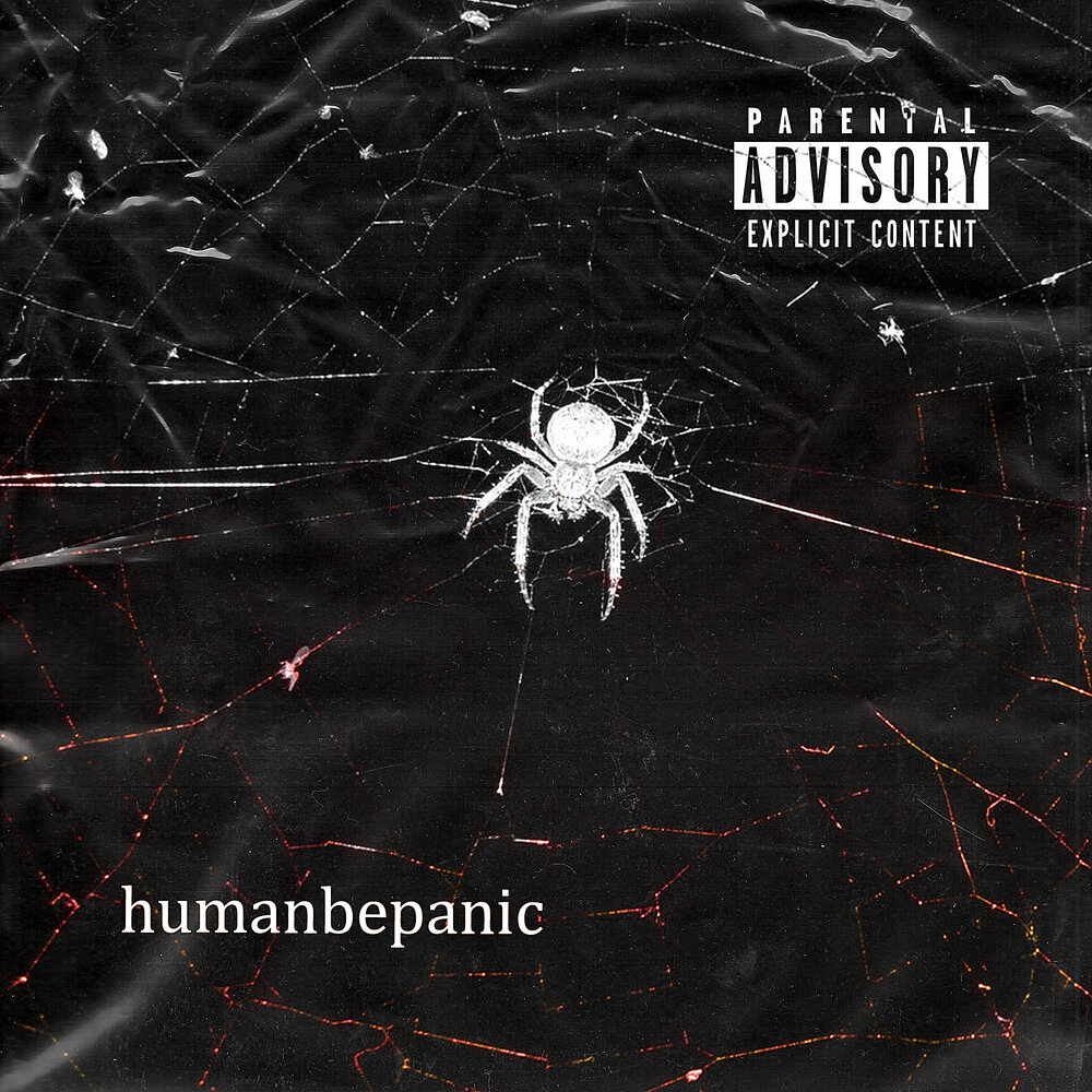 за последним порогом. холмы рима. паутина в тумане. за последним порогом ауд. стоев паутина слушать.