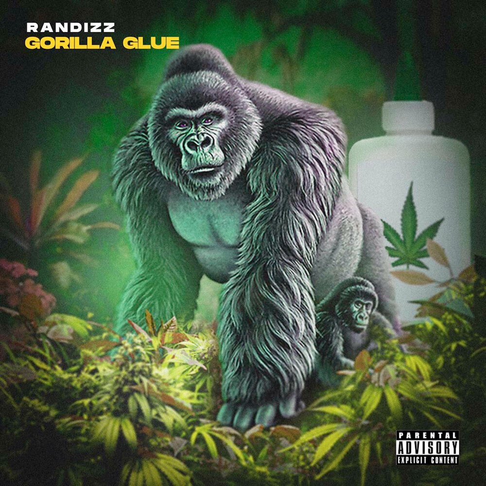 Горилла. Горилла фото. Сильвербэк горилла. Eastern lowland gorilla. Kongos egomaniac.