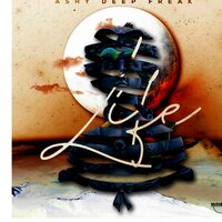 artist-cover