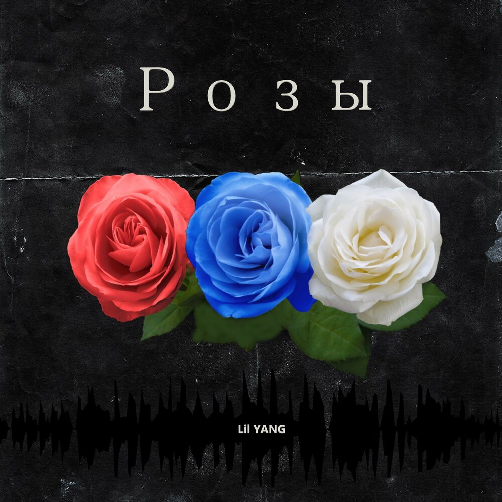 Lil rose. Миллион роз (сингл). Альбом роза. Песня роза. След твоей розы.