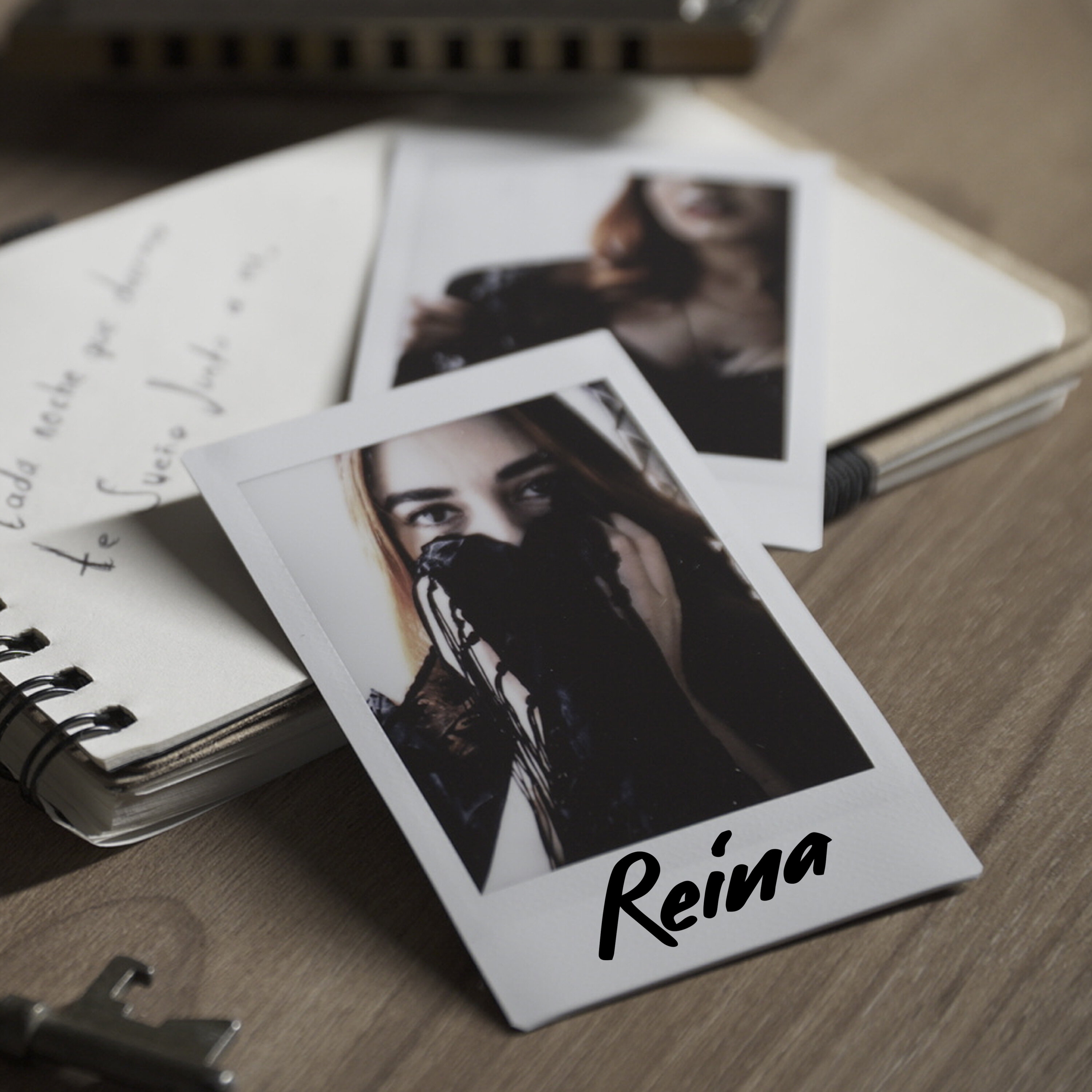 Обложка релиза Reina
