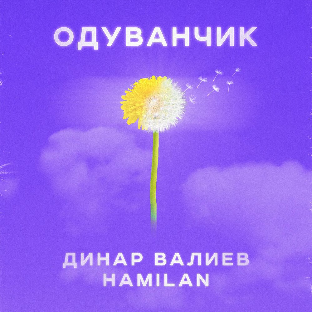 Голубые береты песня про одуванчики. Альбомы с одуванчиками. Песни про одуванчики. Одуванчики песня. Одуванчики песня про десантников.