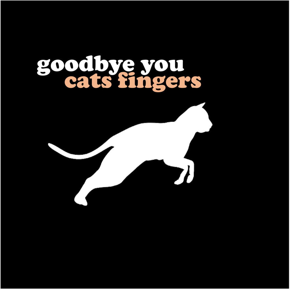 Футболка с котом в кармане ripndip. Кот с факом. Ripndip кот обои. Векторные милые рисунки с надписями. Кот показывающий средние пальцы.