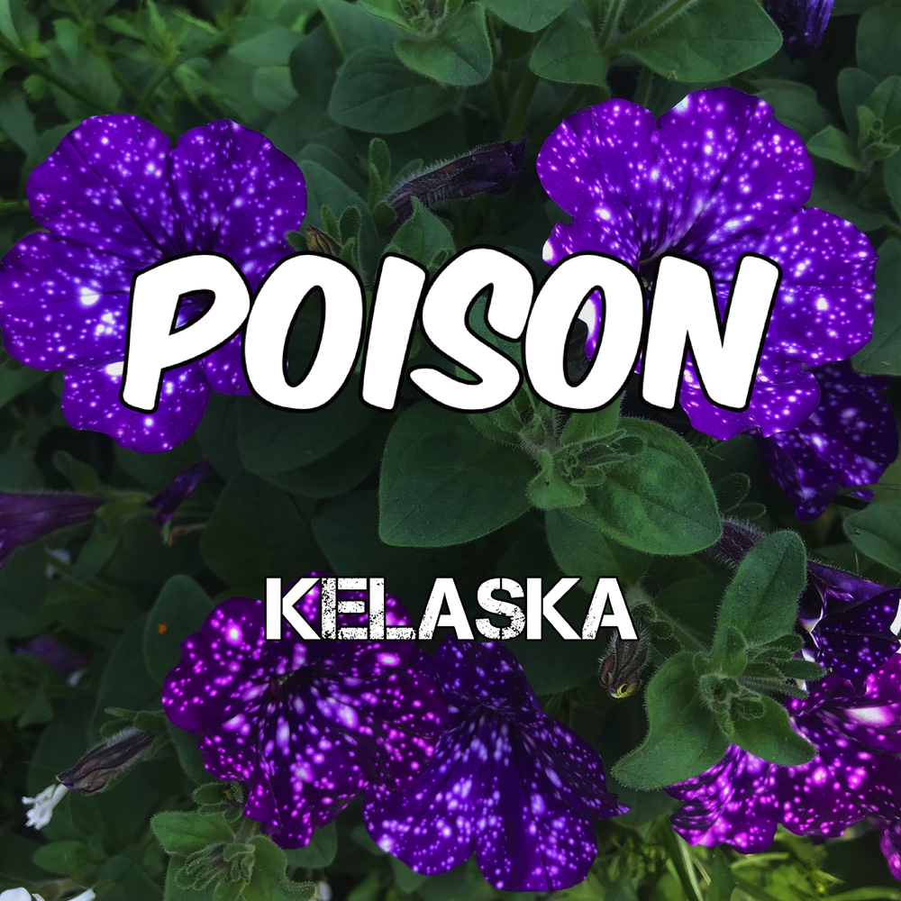 Poison песня. Популярные песни Поисон.