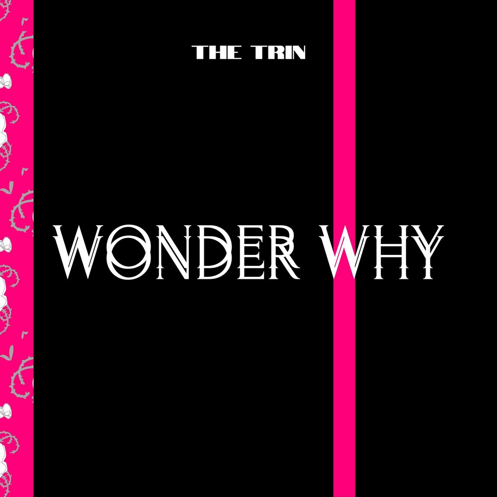 Wonder музыка. Wonder why Wonder how.