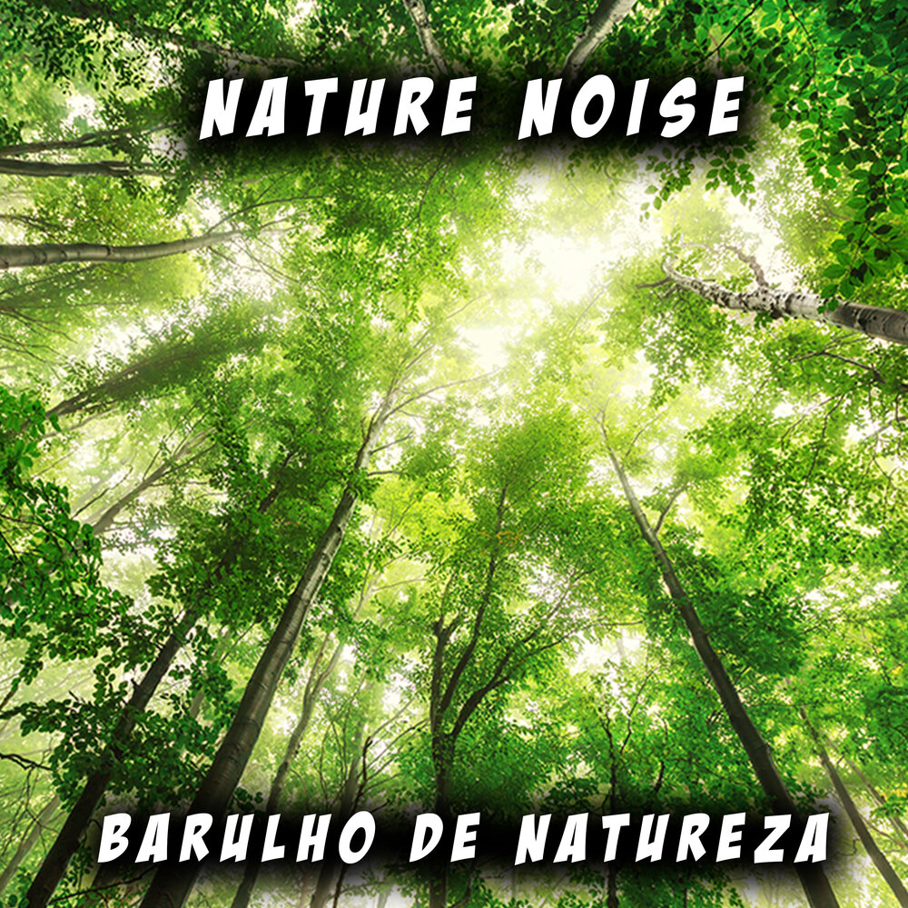 Nature noise. Noise River. Natural Noise.