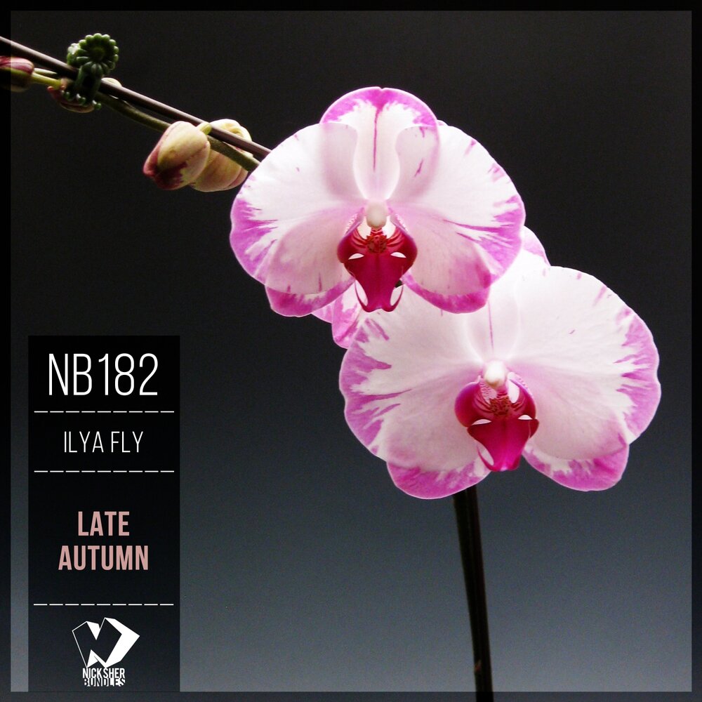 девушка в воздухе. I fly a330. смартфон fly android 5. игра better , fly. Fly 2015.