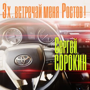 Эх, встречай меня Ростов!
