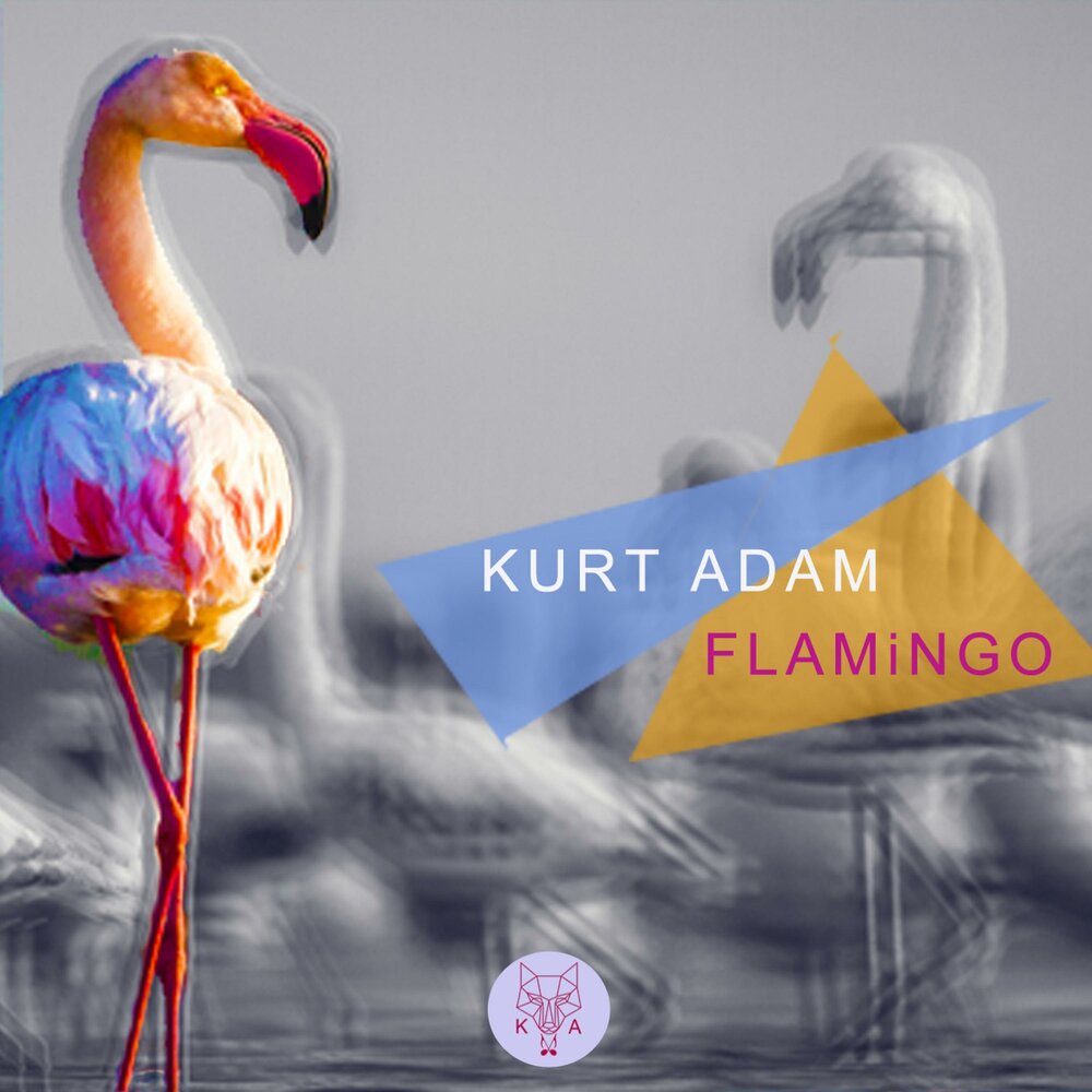 Слушать песню фламинго. Flamingo песня. Фламинго песня. Фламинго мелодия слушать. Лео Фламинго песня.