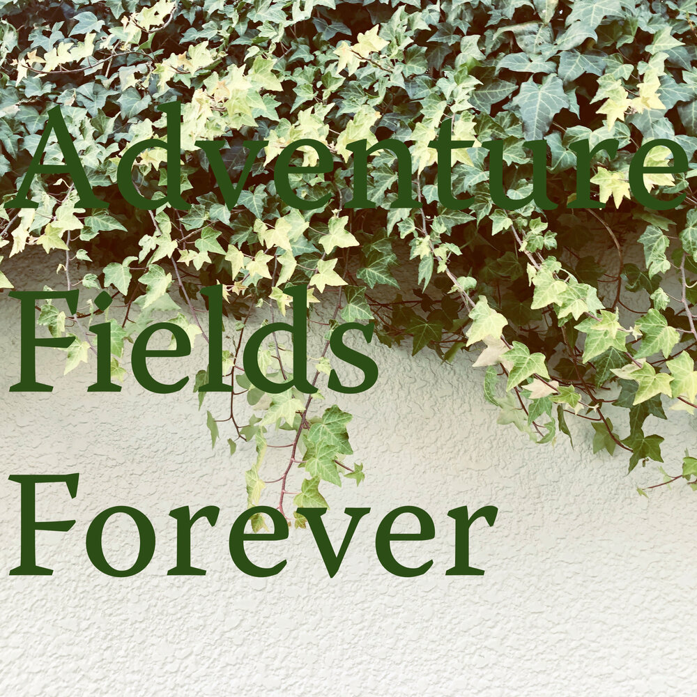 Fields forever перевод