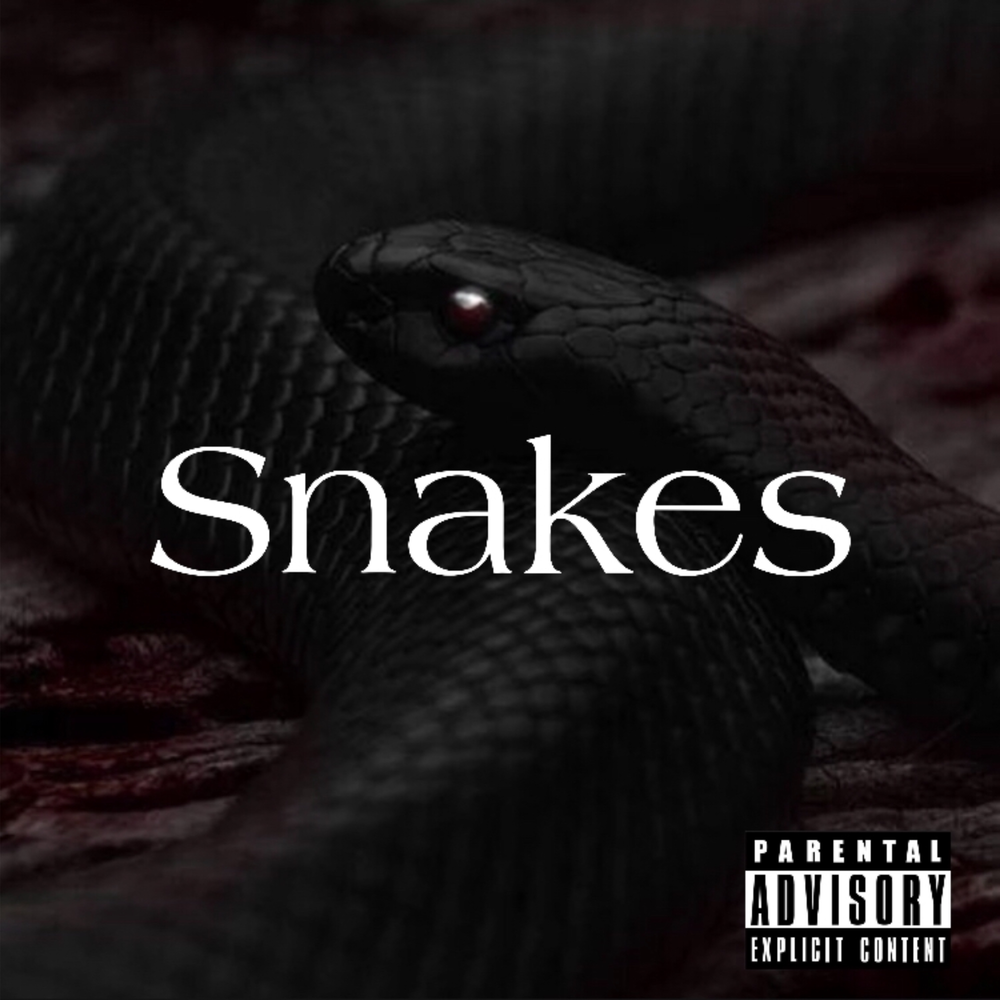 Песня змеи. Змеи СЛУШАЮТ. Big Snake песня. False Flags / United Snakes album.