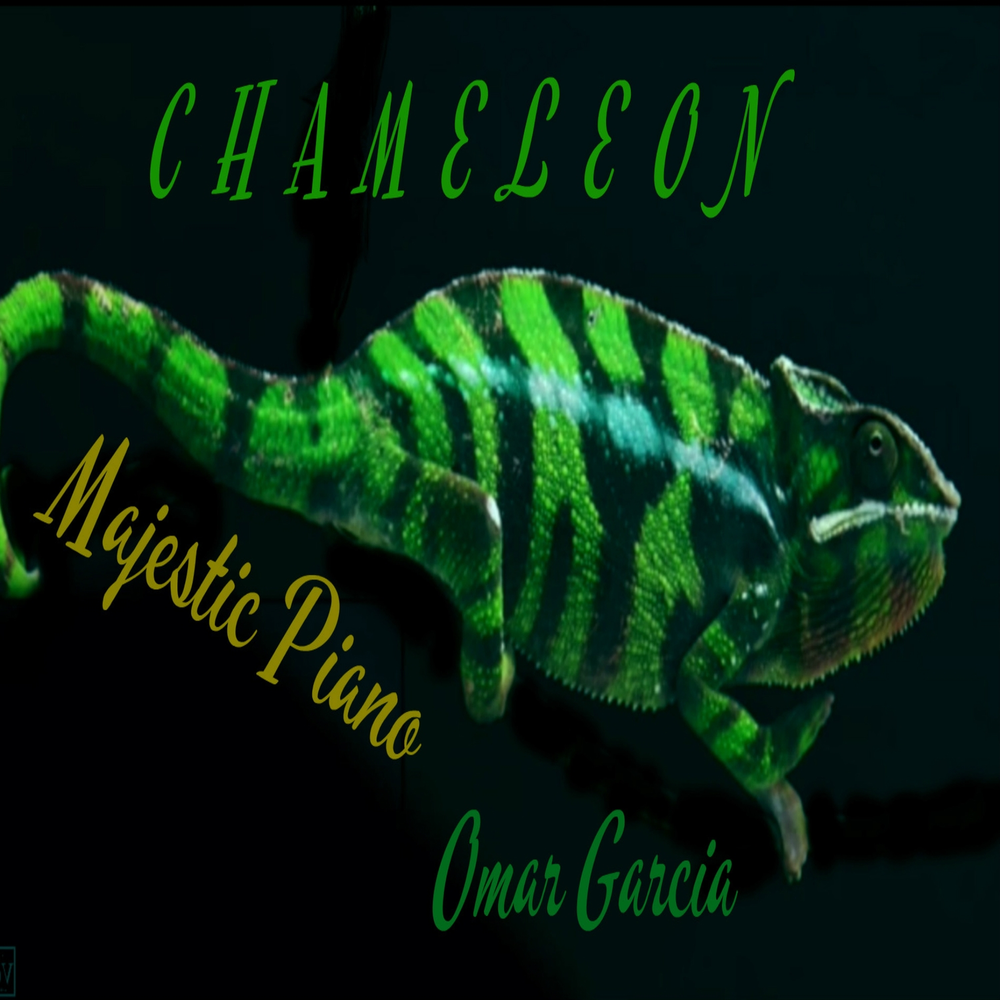 Chameleon group. Хамелеон певец. Хамелеон слушает музыку. Kamro colors vocstem. Группа хамелеон - 12 85 00.