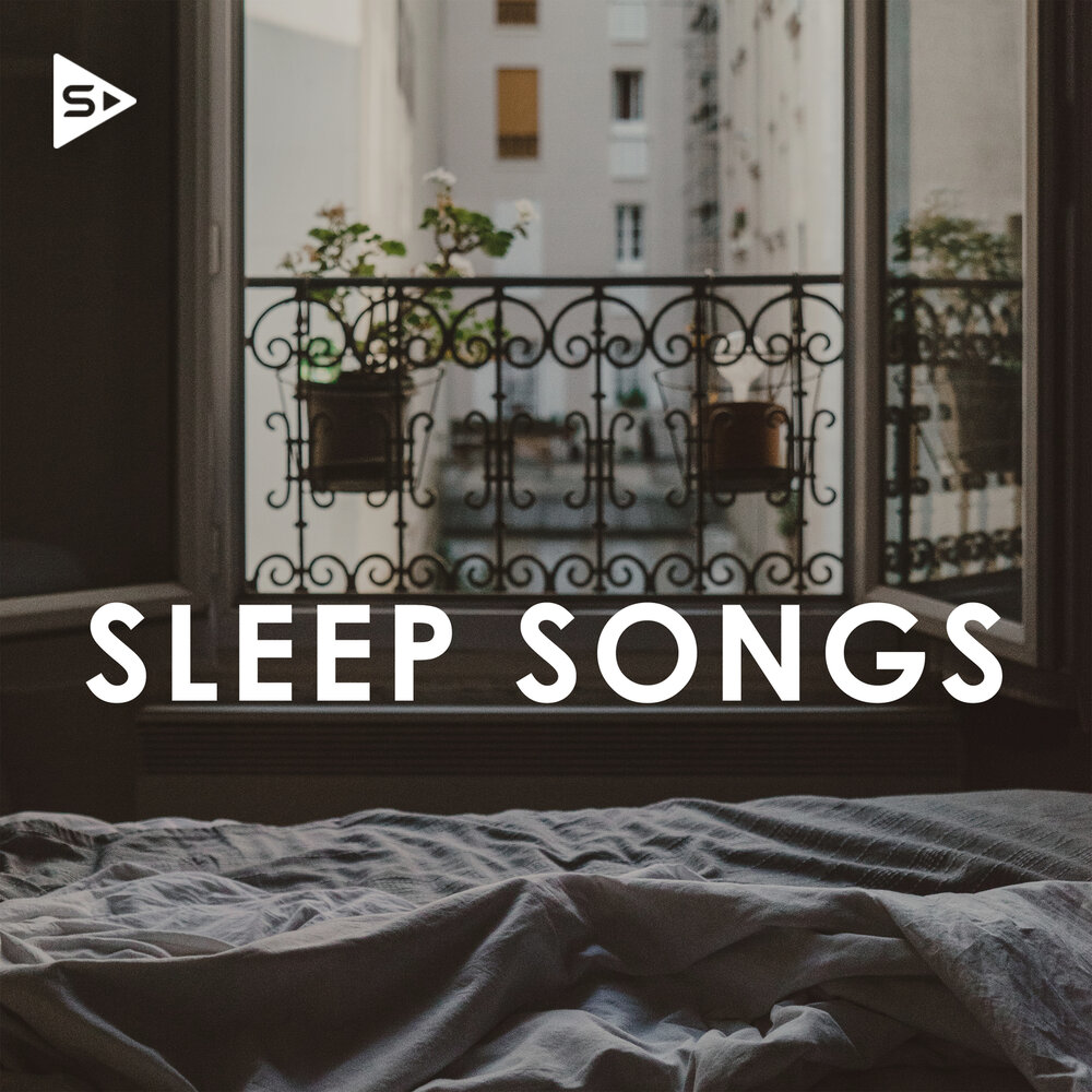 Текст песни sleep well