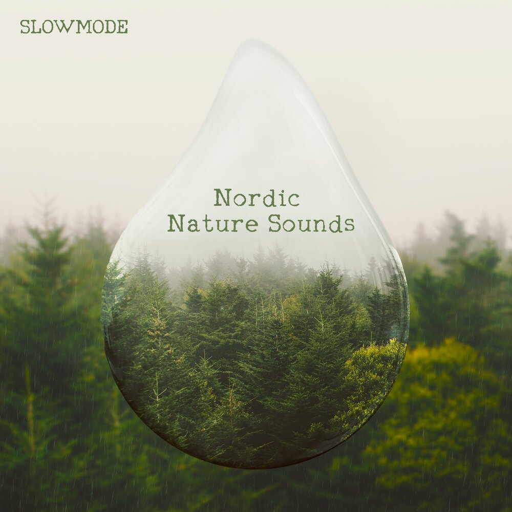 Nordic nature. Nordic by nature книга. Nordic by nature. Книга Nordic by nature на русском купить в СПБ.