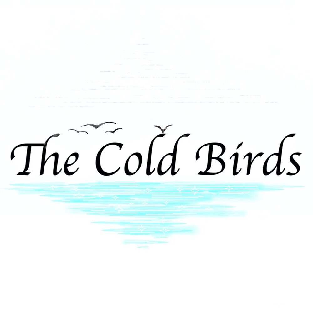 Colder birds