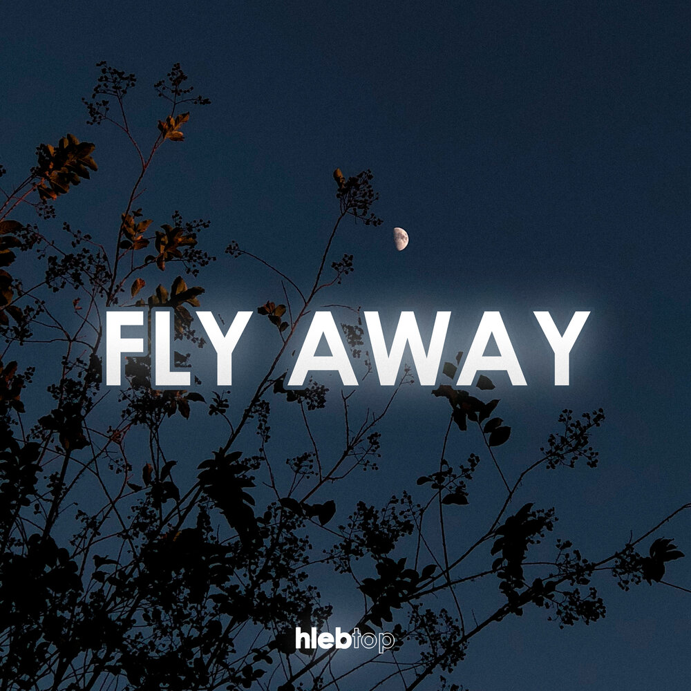 Fly away слушать