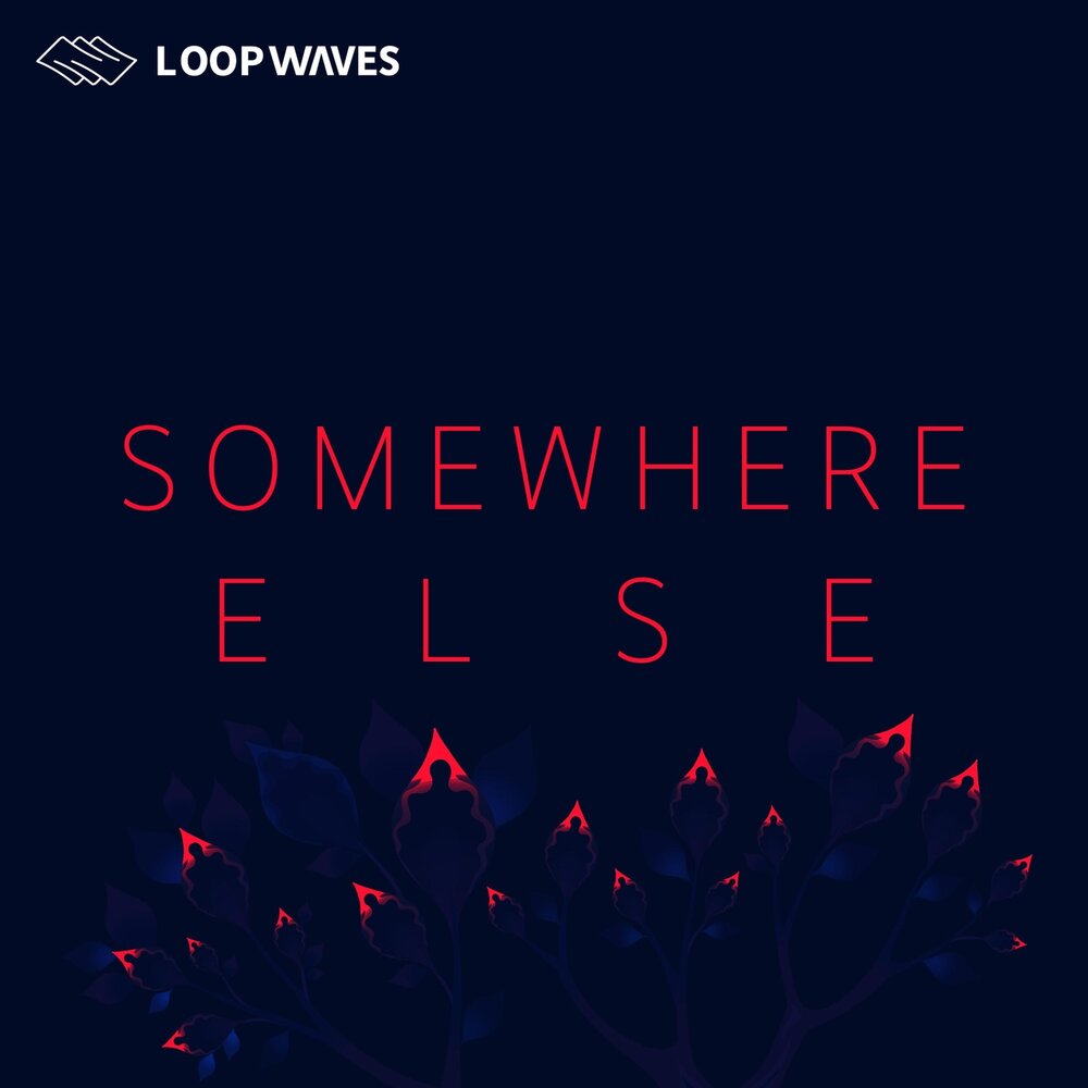 Somewhere else. Somewhere else