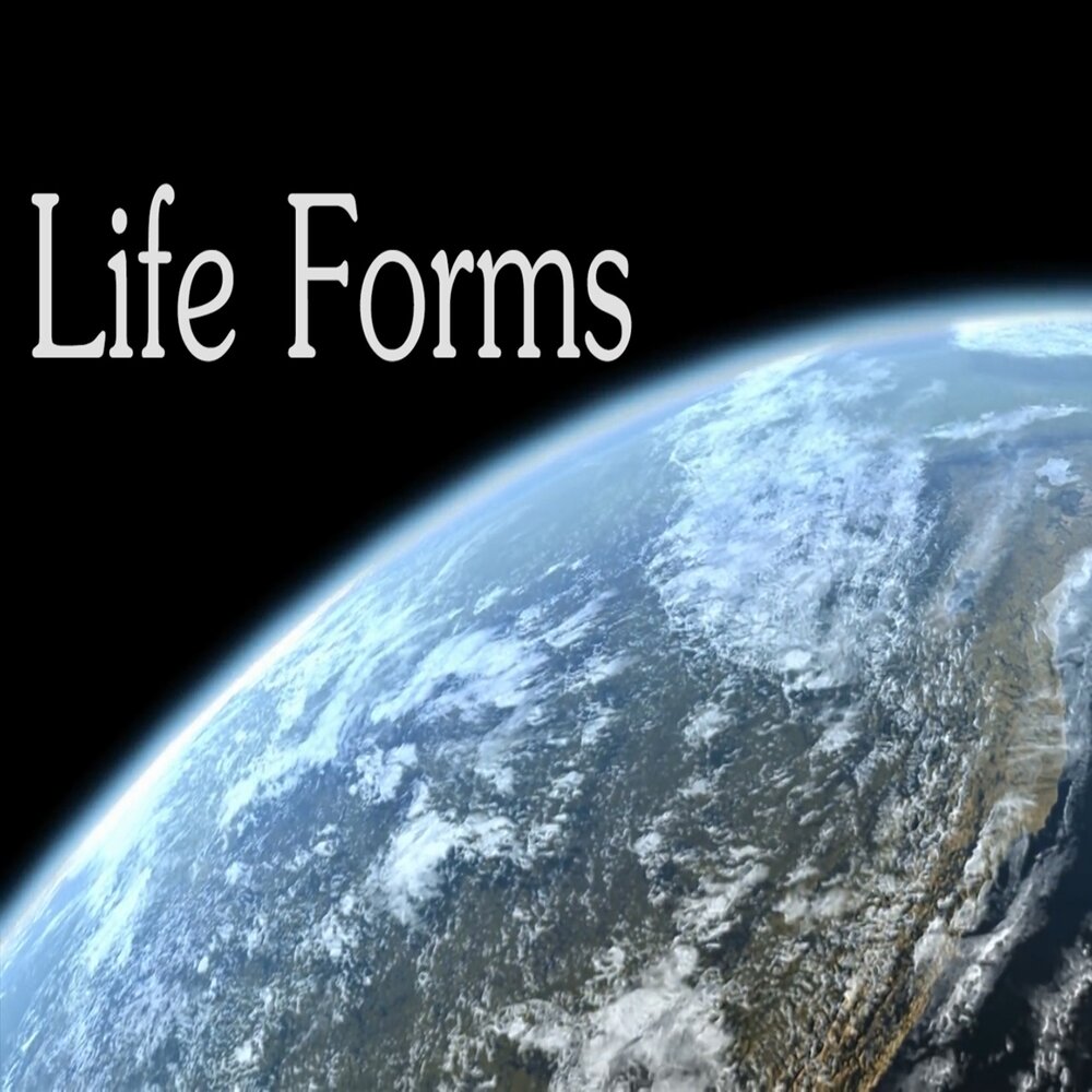 Forms for life. Forms for life