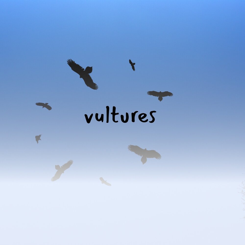 Vultures album. Vultures альбом. Vultures album Cover ye. «Vultures» albom.