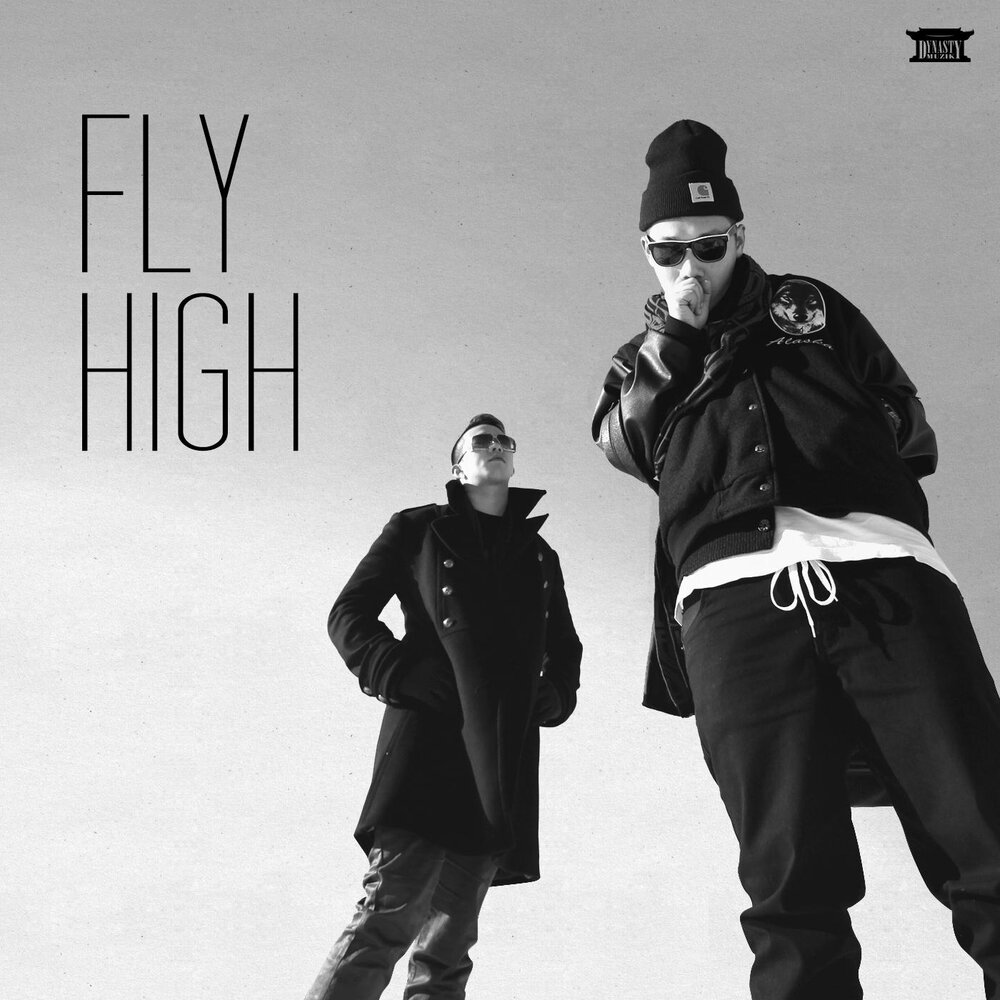 Laneslide - Flying High (2013). Me & my Fly High.