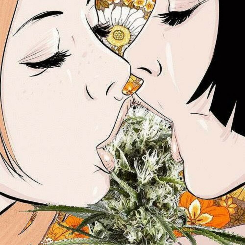 Поцелуй марихуаны тор скачать браузер опера gidra