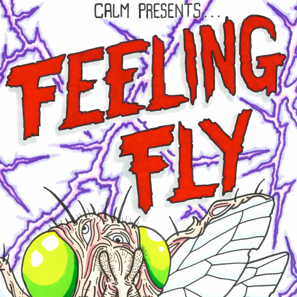 Feel fly. Feel Calm. Fly feel.