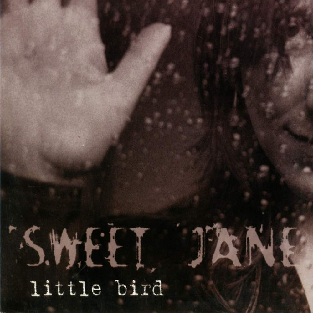 Sweet jane. Альбом little bitch. Jane b. album Cover. Tom&Jane слушать. Sweet Jane Checz.