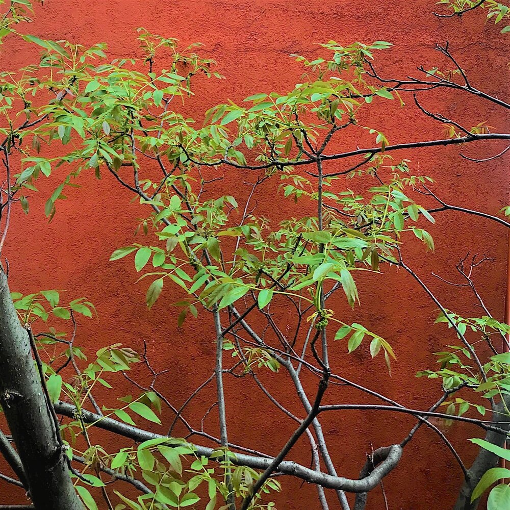 Шутер в открытом космосе. Шутер в невесомости. Later zero. Later zero. Zero escape ps vita.