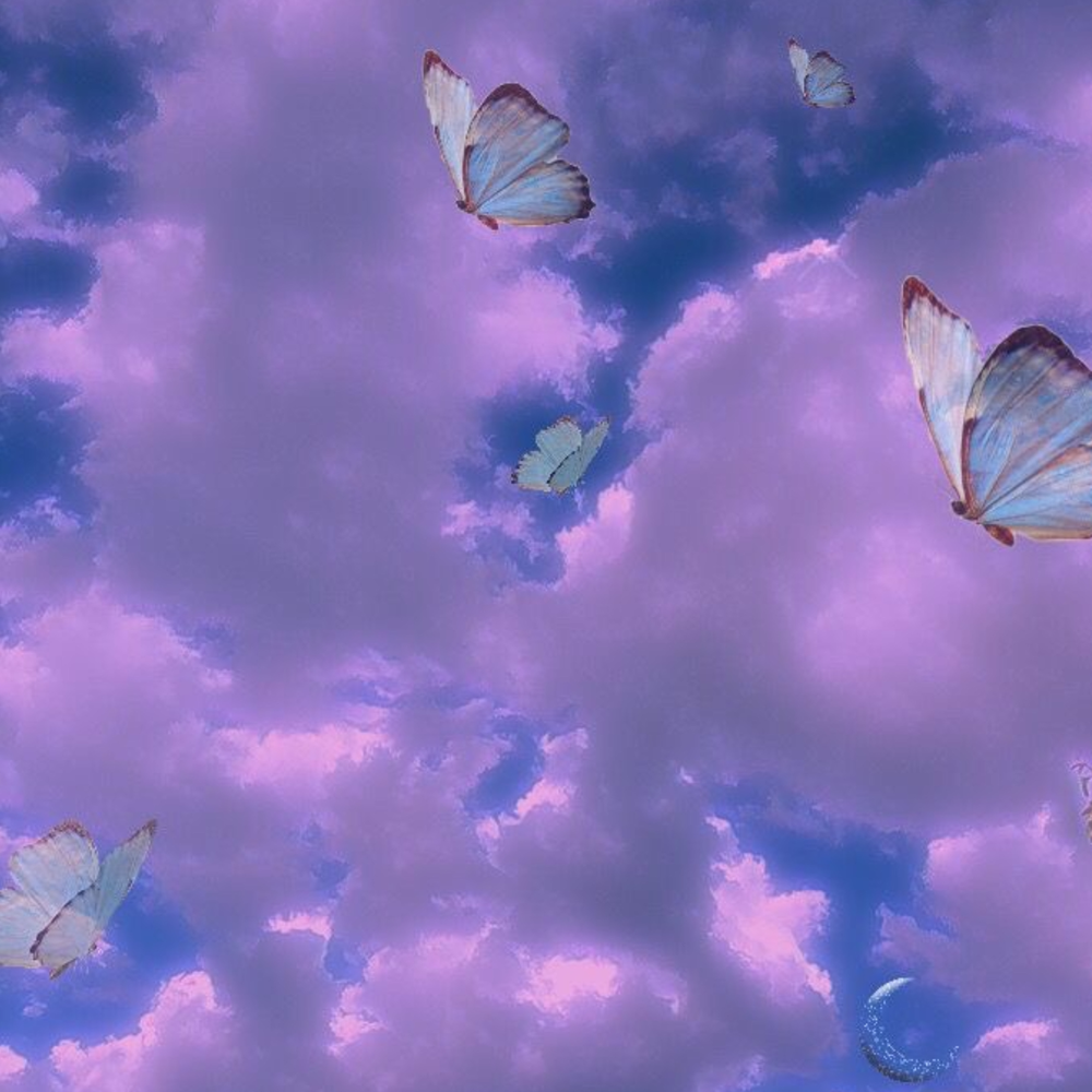 Фиолетовые бабочки20