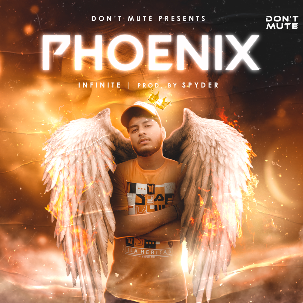 Phoenix infinity. Phoenix infinity. Infinity music. Дракон и феникс. Мерцающий феникс инфинити феникс инфинити.