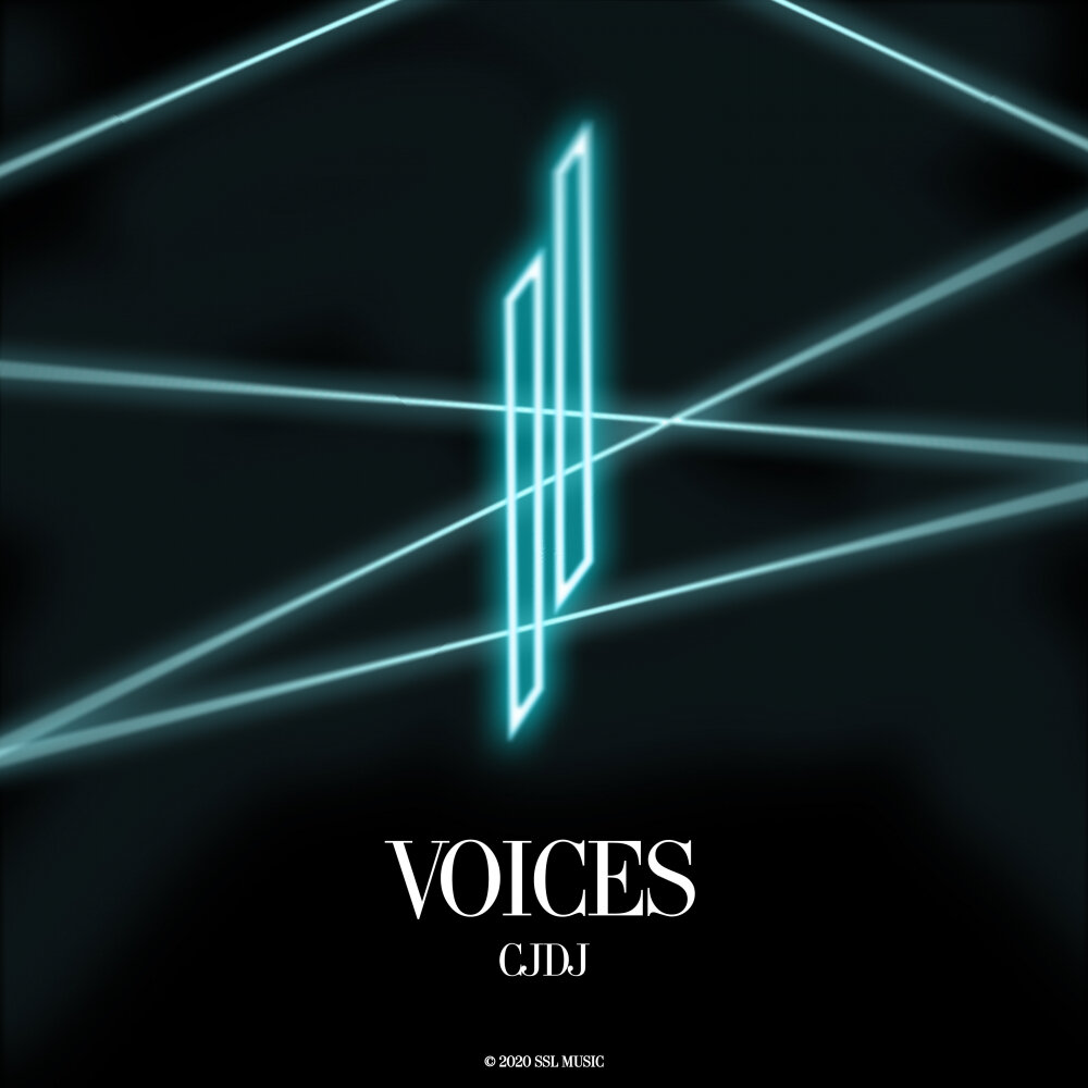 Voice album. The Voices 2020. Music Voice. Original Voice. Original Voices Enigma слушать.