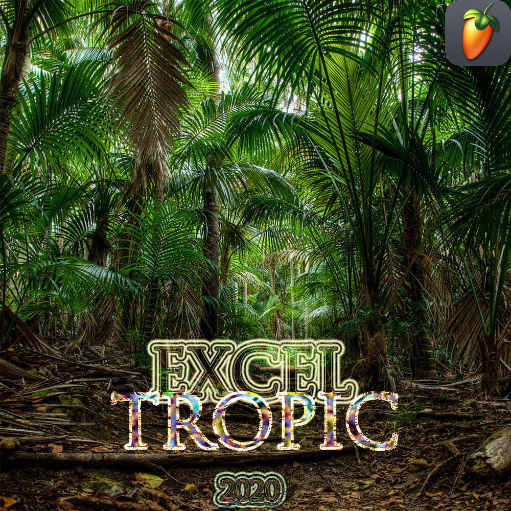 Песня тропик. Песня тропик. Tropical vibes. Песня тропик. Тропическая музыка.