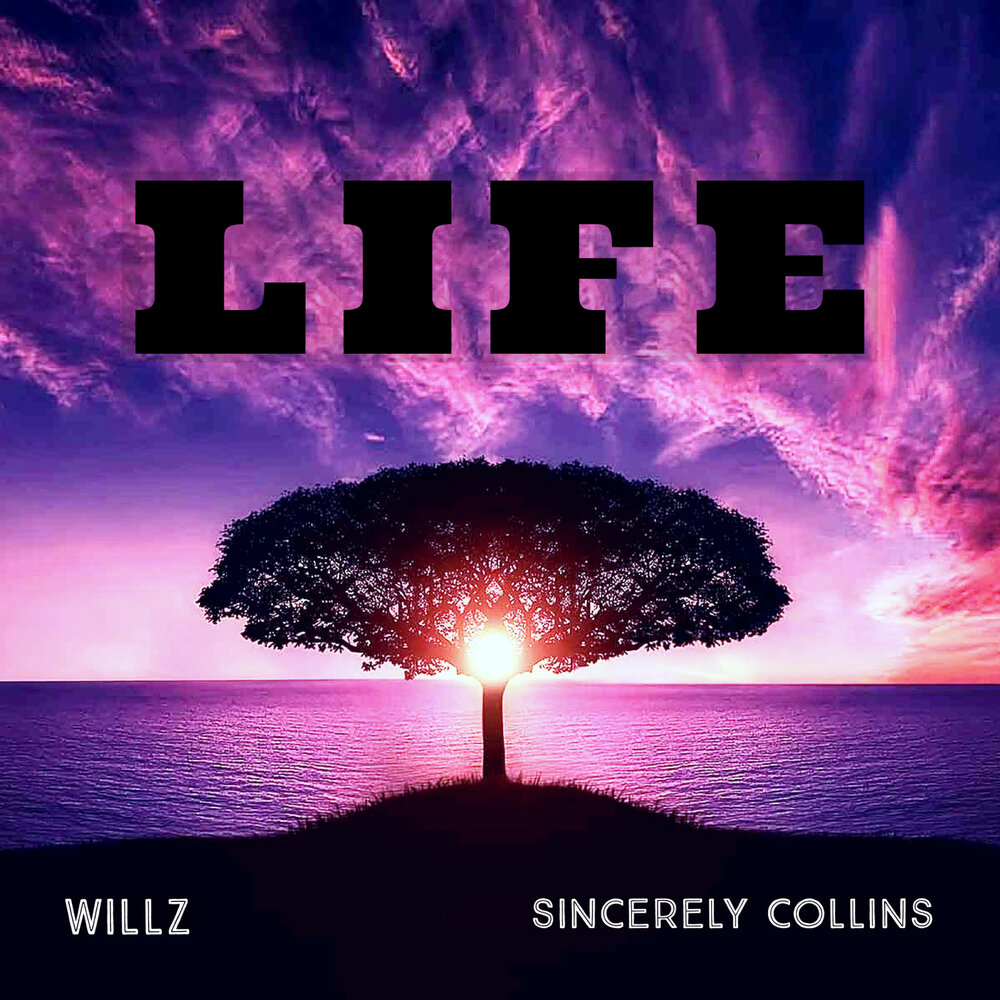 Life life album. Sincerely Collins. Willz. Sincerely Collins Destroyer. F.T.Willz.