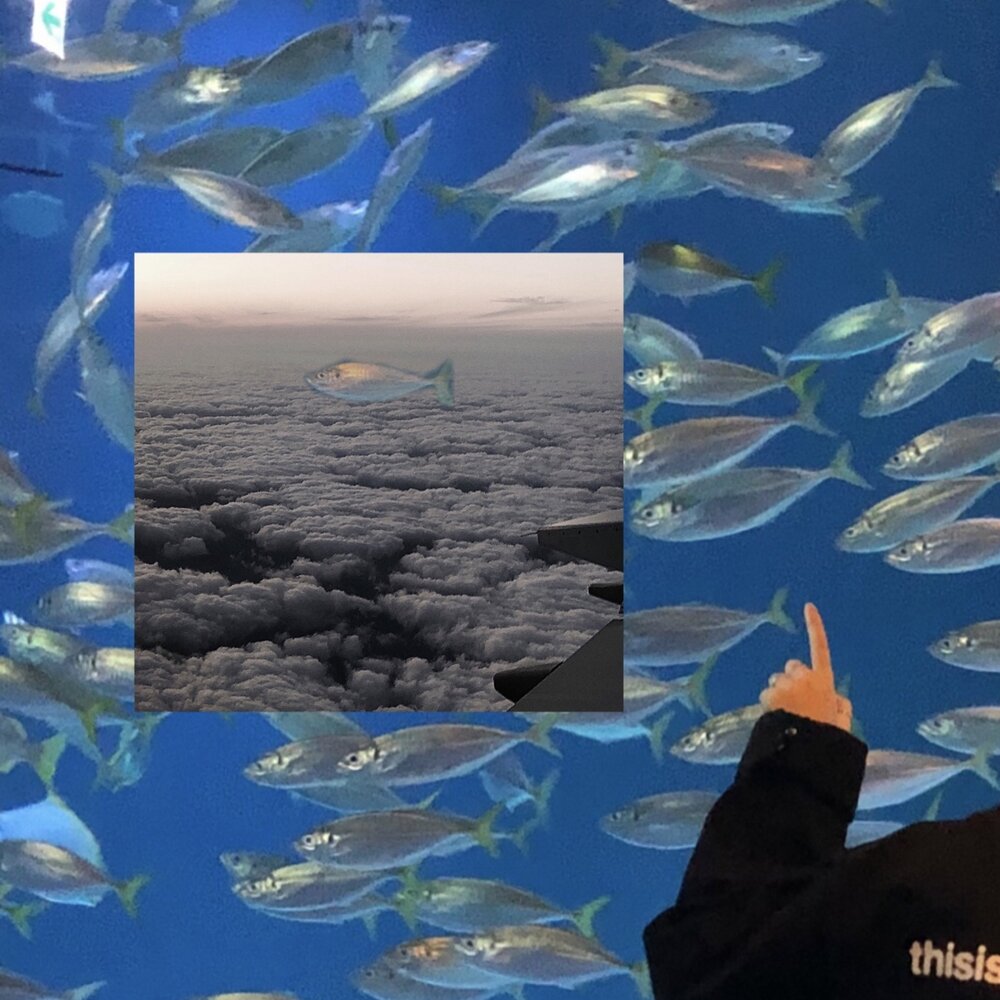 Cloud fish. Облачные рыбы. Рыба в облаках. Облака рыбы корабли. Облачные рыбы явление.