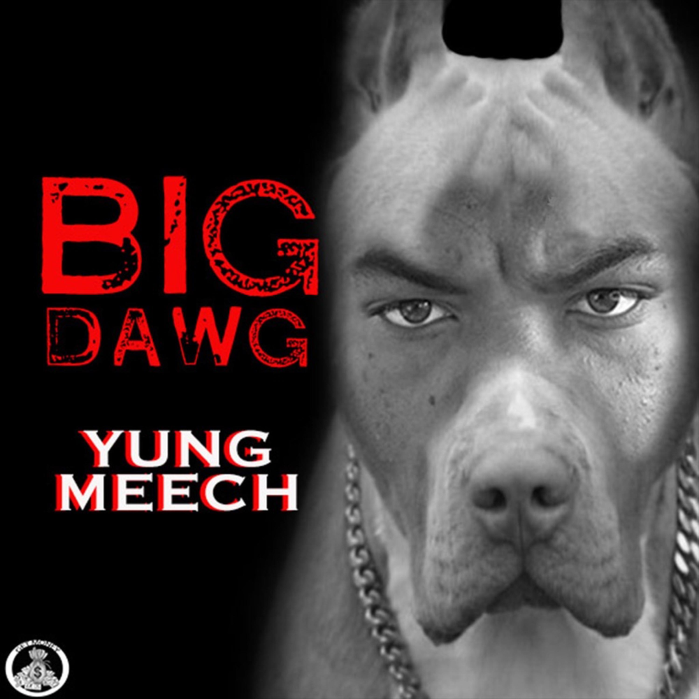 The big dawgs. Big Dawg. Big Meech. Big Dawgs.