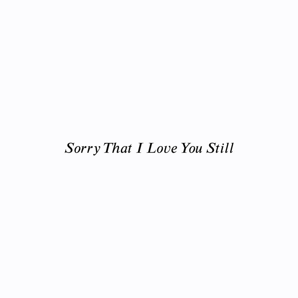 Sorry that i love you. Песня sorry i Love you обложка. Love you still text. Перевод песни sorry i Love you.