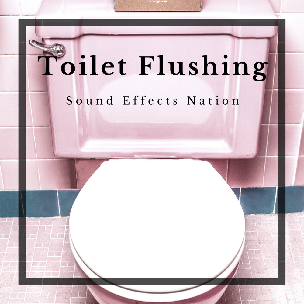 Песня туалет 1 час. Flushed Toilet Sound\. Супер унитаз альбом. Toilet Flush Sound Effect. Flush ютуб.