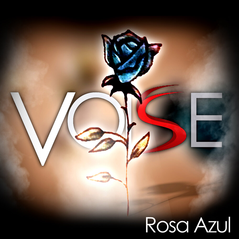 Voise